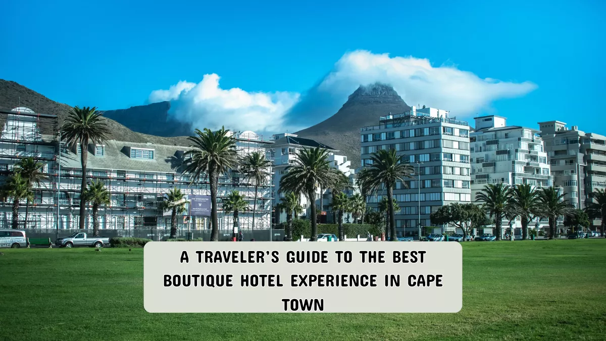 A Traveler’s Guide to the Best Boutique Hotel Experience in Cape Town