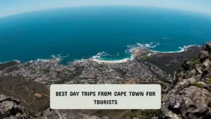 Best Day Trips From Cape Town For Tourists