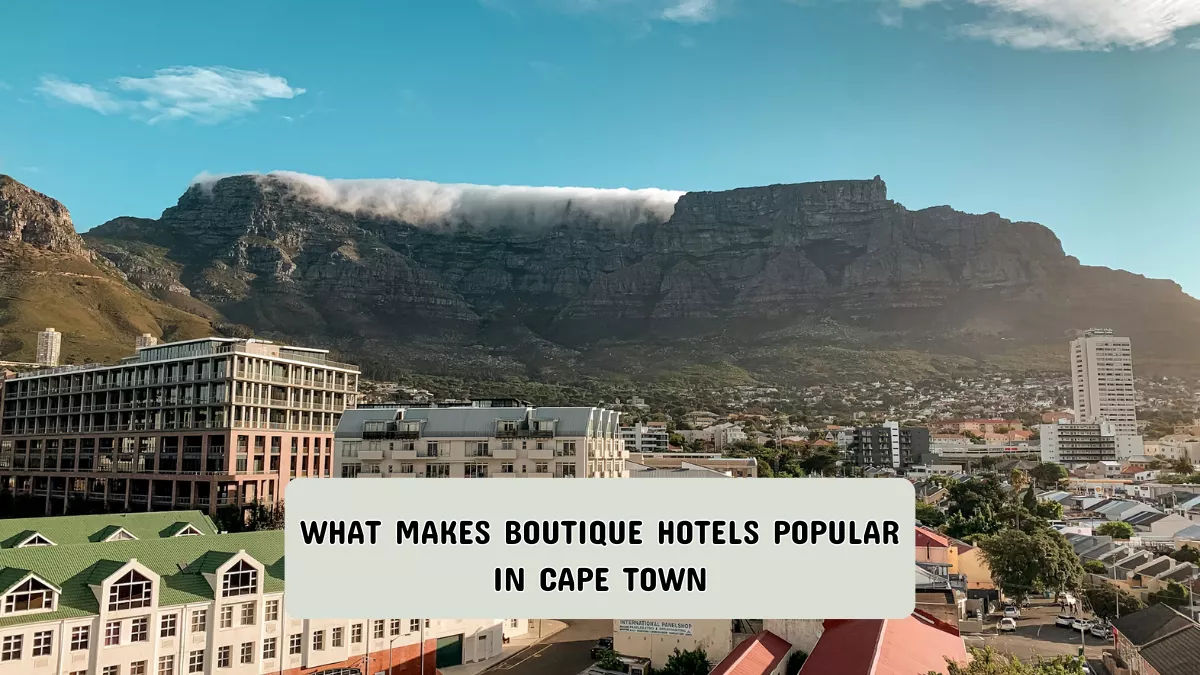 What Makes Boutique Hotels Popular in Cape Town