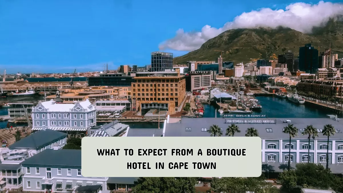 What to Expect from a Boutique Hotel in Cape Town